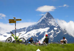 Chamonix to Grindelwald alps mountain bike